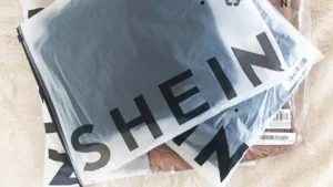 What Does the Status “In Dispatch” Mean on Shein?